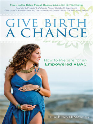 cover image of Give Birth a Chance